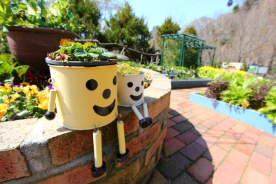 gardening